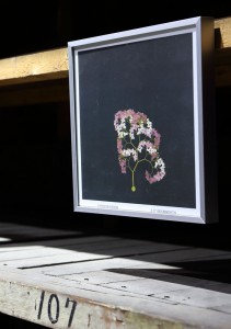http://www.sonyeoul.com/files/gimgs/th-23_e-trees로,디지털 프린팅,32개의 액자,2018_01.jpg